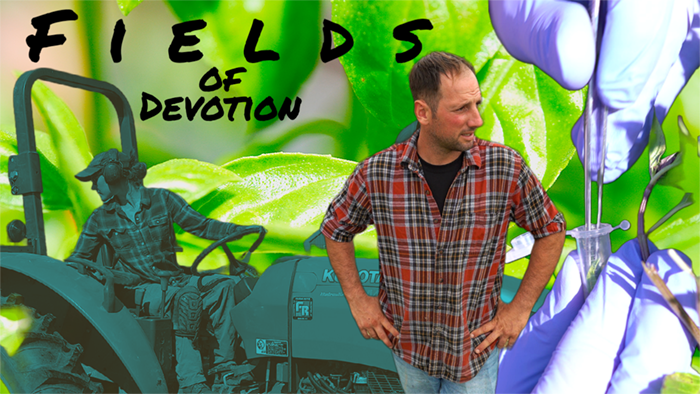 Fields of Devotion trailer